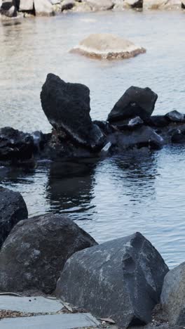 decorative rock lined garden stream
