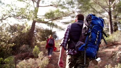 group of hikers with backpacks walking up a mountain