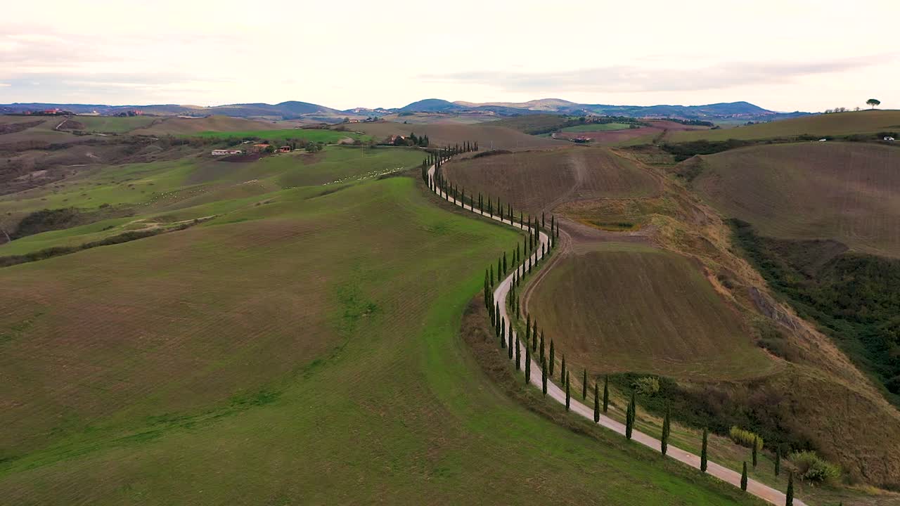 toma aérea de la campiña toscana con drones al atardecer - campos de colinas, viñedos, cipreses a lo largo de la carretera blanca