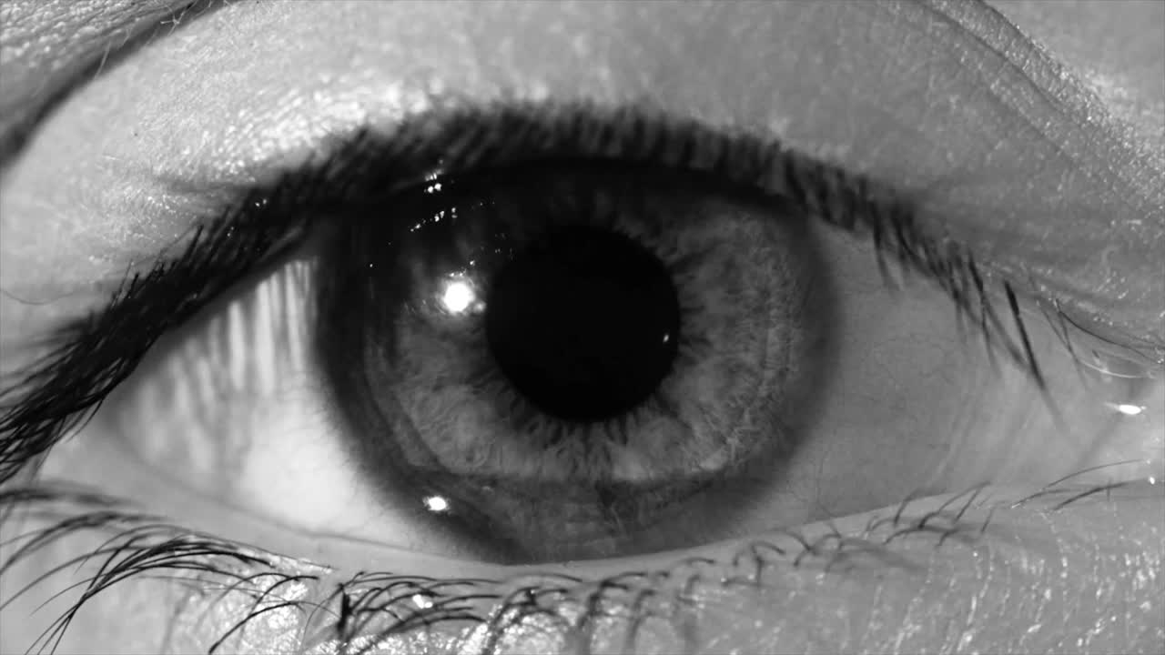animación de interfaz de tecnología de escaneo del ojo humano. primer plano de ojo cibernético de alta tecnología, monocromático