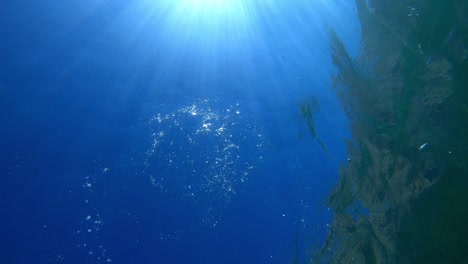 ring bubble and sun underwater in blue ocean. water texture.