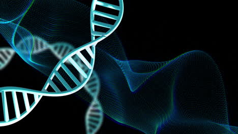 dna strand and digital wave animation over black background