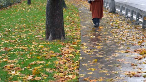 woman walking on wet sidewalk in autumn