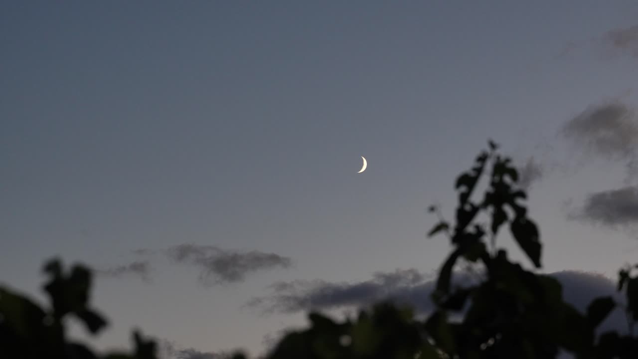 A crescent moon over a branch in Michigan