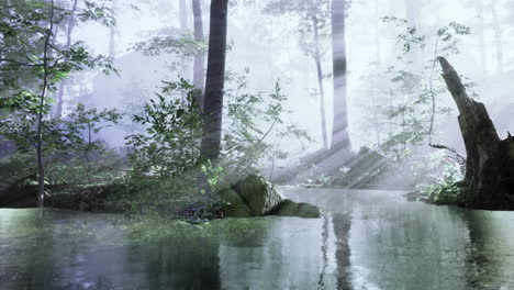 mystical forest reflections in tranquil waters under soft morning light