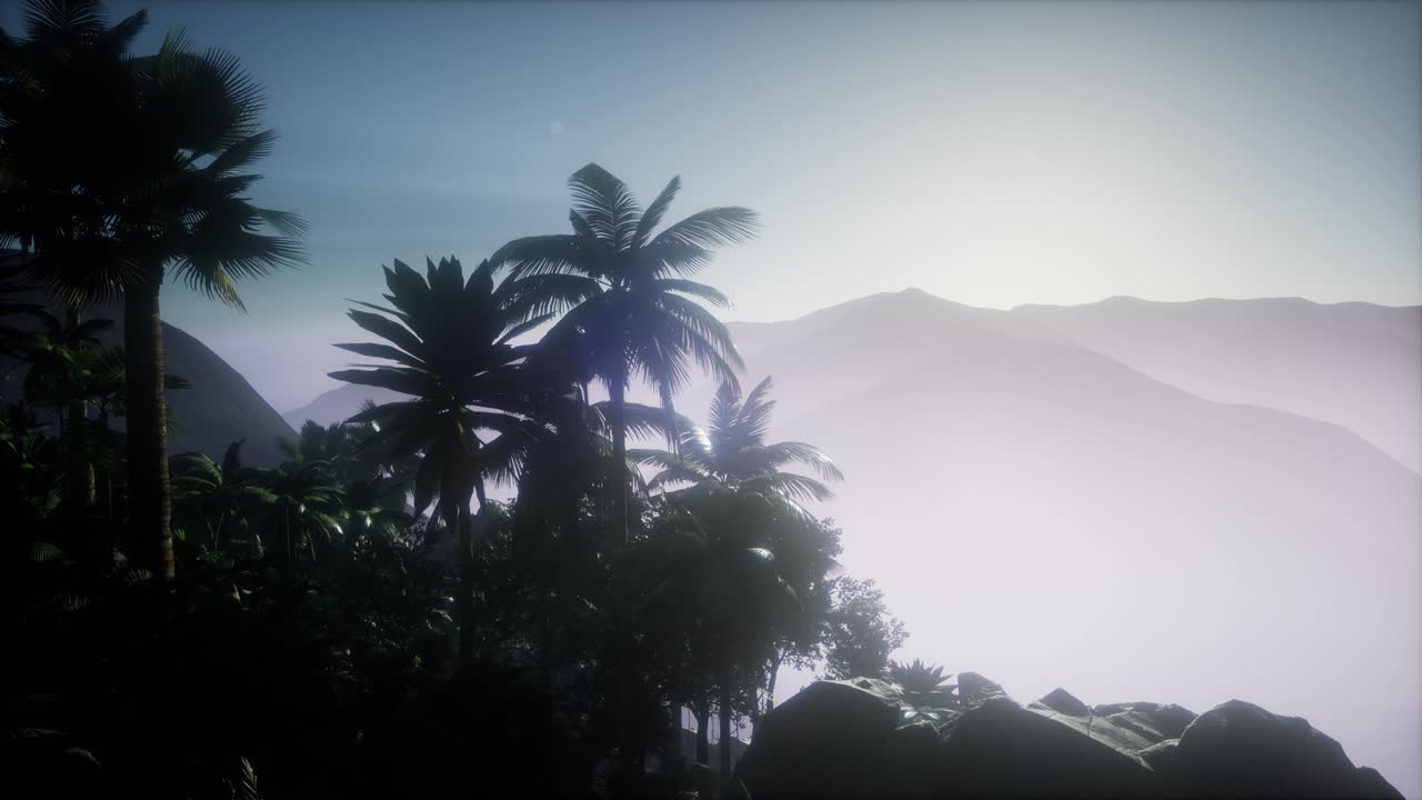 Sunset Beams through Palm Trees