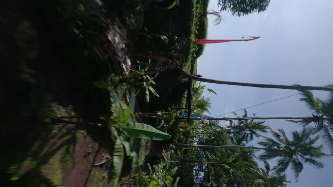 dron fpv vertical disparado entre palmeras tropicales a una mujer con un vestido de verano en un columpio