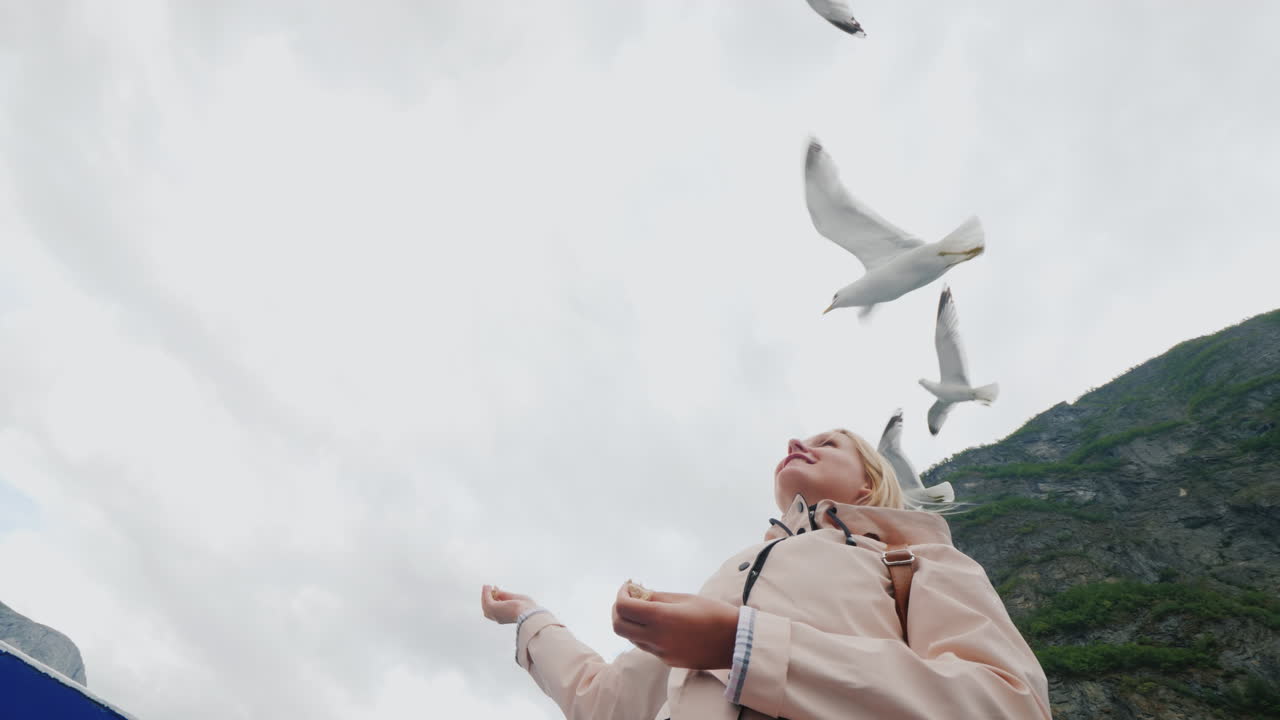 한 여성이 믿음으로 날아가는 갈매기에게 먹이를 주고 피요르드를 통과하는 개념 여행을 길들입니다.