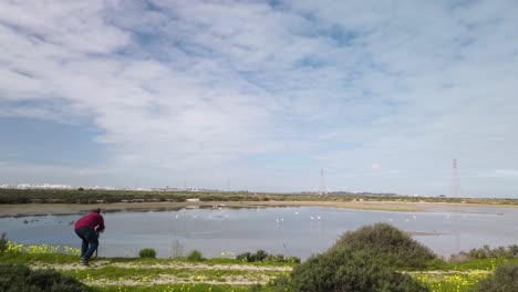 el fotógrafo se agacha para tomar una foto de flamencos en pantanos, amplio paisaje