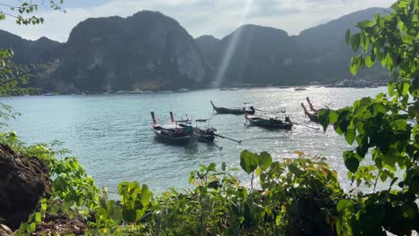 Traditional-Thai-long-tail-boats-anchored-in-shores-of-Phi-Phi-islands,-sunny-day