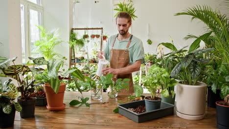 man watering plants in a plant shop