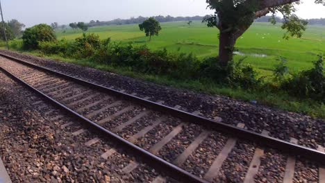 hermosa vista desde el interior del tren