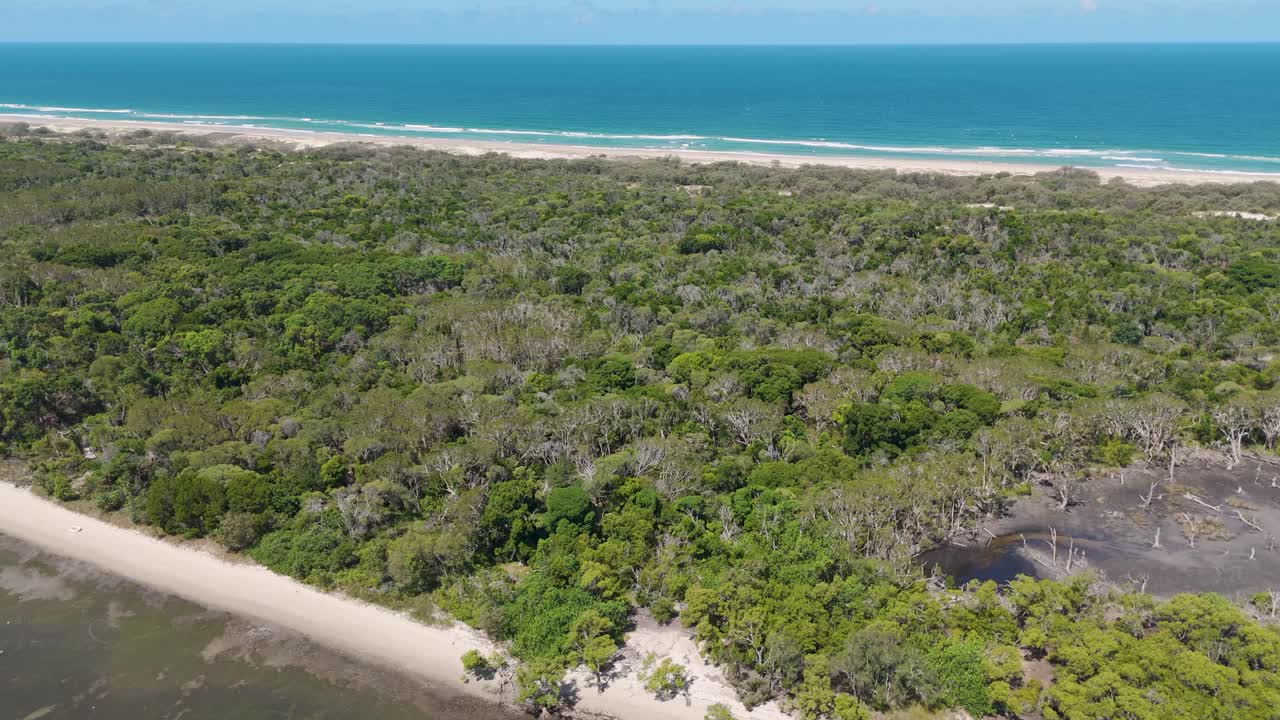 el avión no tripulado captura la costa pintoresca y la vegetación exuberante