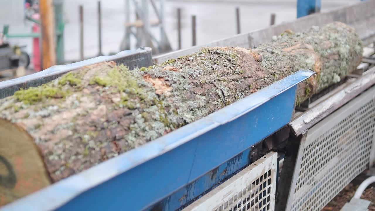 Stor tømmerstok bevæger sig langs et transportbånd på et savværk.