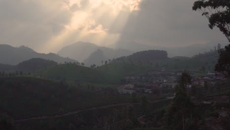 munnar, india tea plantation