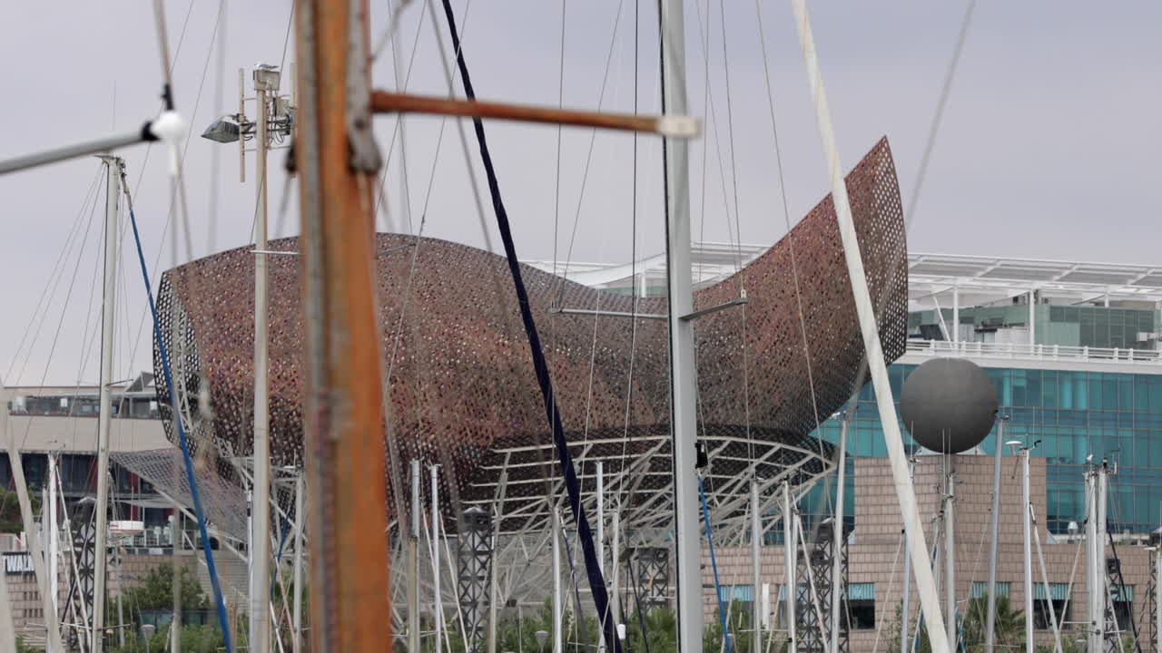 포트 올림픽 비치 비디오 4k 13