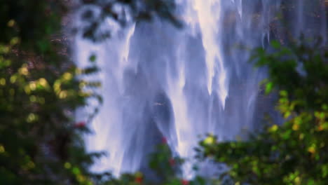 Imágenes-De-Cerca-De-Una-Cascada-Brumosa-Rodeada-De-Ramas-Y-árboles-Verdes-Y-Exuberantes