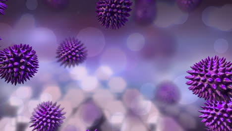 bacterias púrpuras en caída libre