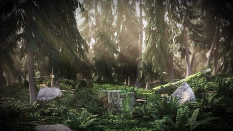 cg dawn in the forest