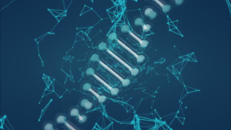 estructura del adn y red de conexiones contra un fondo azul