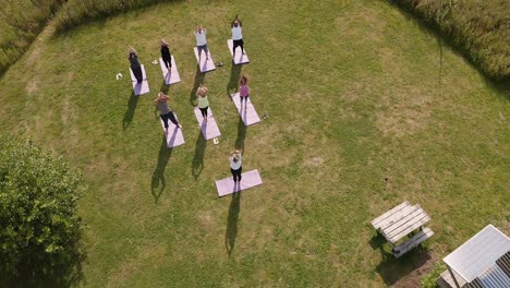 tomada con avión no tripulado del maestro que lidera un grupo de hombres y mujeres maduros en clase en un retiro de yoga al aire libre