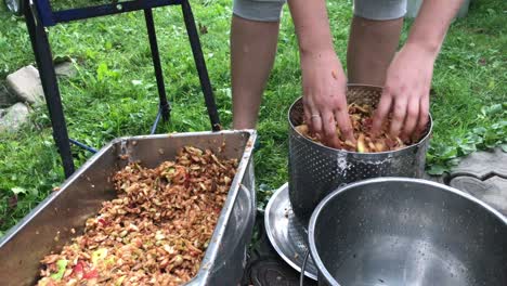 processing of apples for juice production.