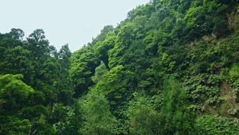 wide panning shot of ribeira quente natural waterfall in sao miguel in the azores - portugal