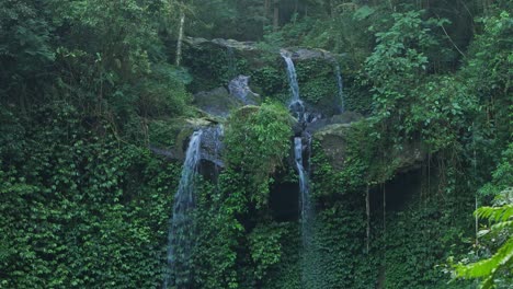 drone view pristine tropical forest scene with waterfalls hidden deep in the rainforest gently streaming down into a lush green valley