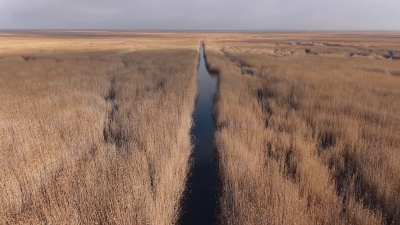 An aerial view of a dense reed marsh divided by a narrow, dark water channel stretching toward the horizon. The warm golden tones of the dry reeds contrast with the deep blue water