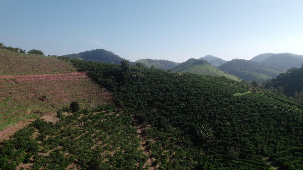 Volando hacia una plantación de café en Espírito Santo, Brasil, Aérea
