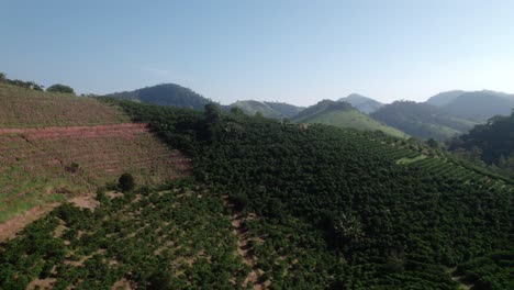 volando hacia la granja de café en espirito santo, brasil, aéreo