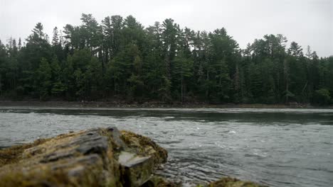 Slow-motion-view-of-seaweed-rock-in-foreground-as-reversing-falls-water-moves-against-normal-flow