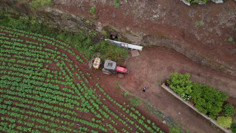 toma aérea de drones de un tractor sobre plantaciones de papa