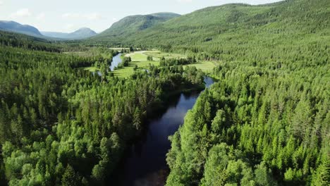 aerial of river flowing through the dense forest with mountains in daytime