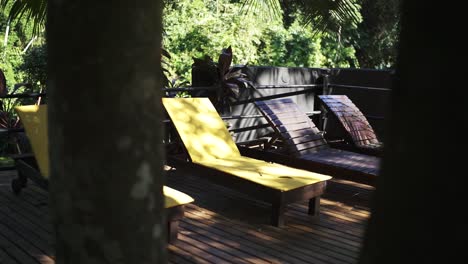 spectacular general still shot of hotel wooden terrace with resting lounge chairs and trees, palms and plants in the background