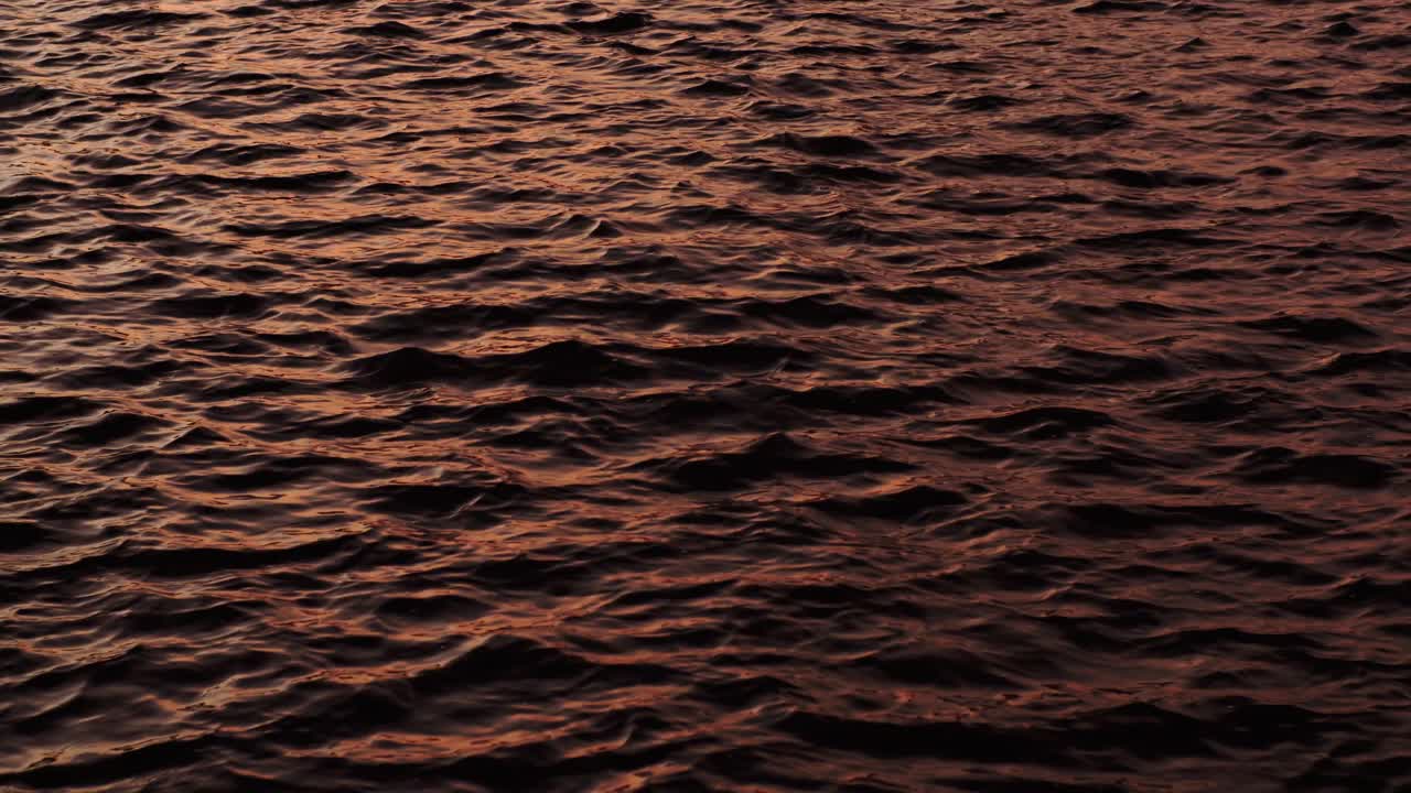 Warm sunlight reflects on gentle river waves creating rhythmic golden motion