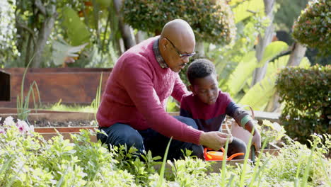 Glücklicher-Afroamerikanischer-Großvater-Und-Enkel-Beim-Gärtnern-Und-Reden-Im-Sonnigen-Garten,-Zeitlupe