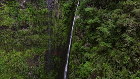 scenic view of the cascade levada caldeirao verde in madeira, portugal