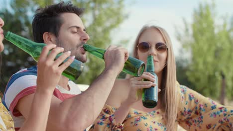 friends making a toast outdoors/dabrowa gornicza/poland