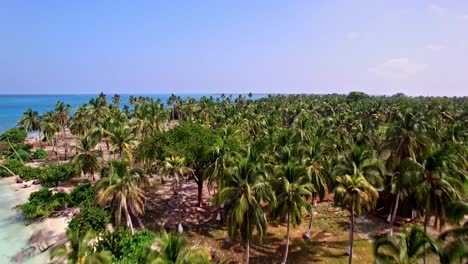 Flying-through-Mucura-island-in-a-drone