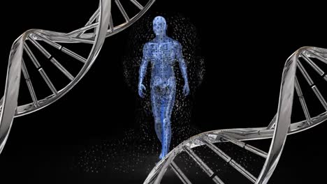 animation of dna strands over digital human