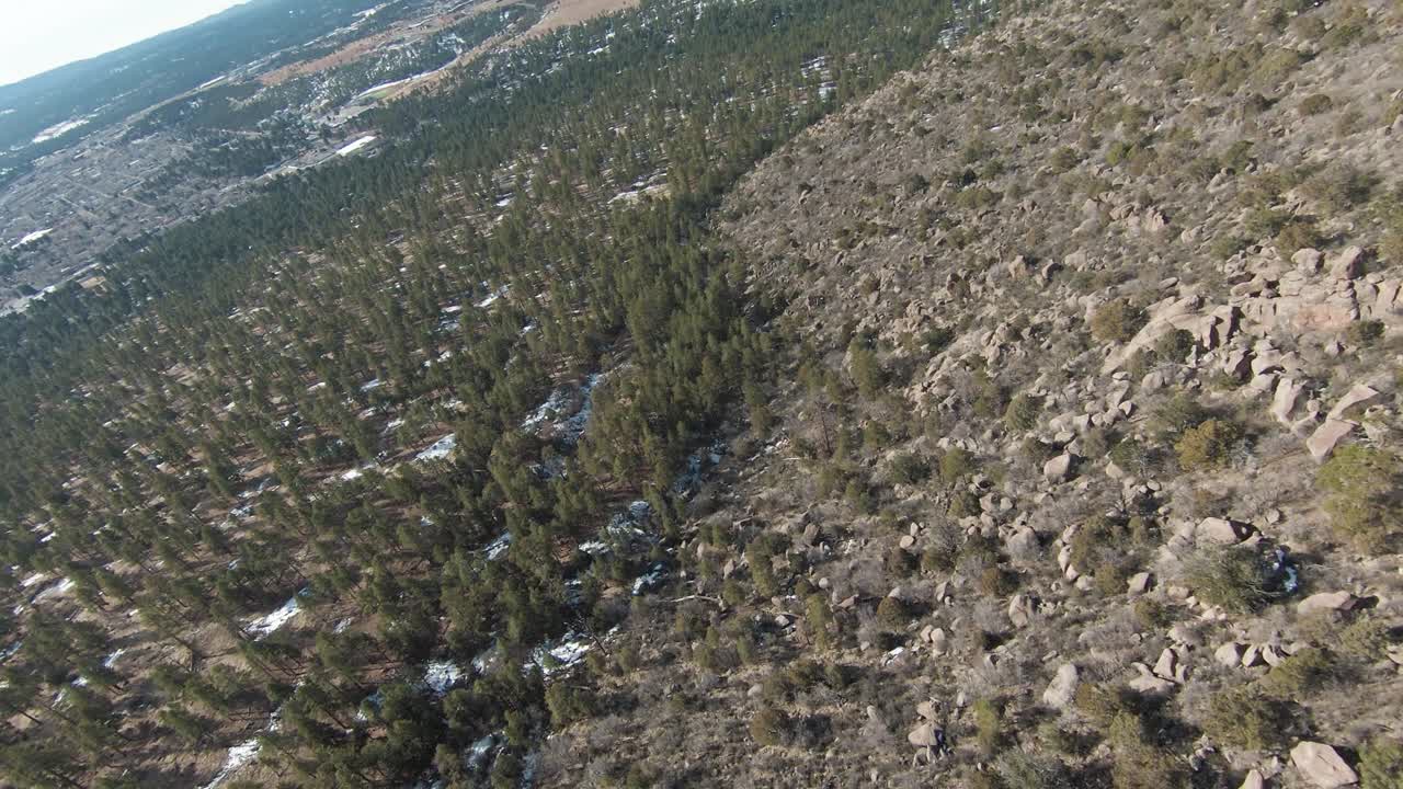 소나무와 흙 사이의 깃대 애리조나 산맥에서 높은 눈 덮인 숲 비행