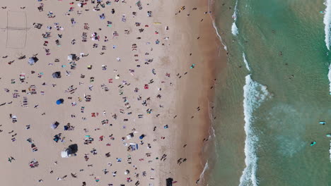 drone view of bondi beach with crowds soaking up the sun and taking dips in the crystal-clear waters. downward angle aerial shot, new south wales.