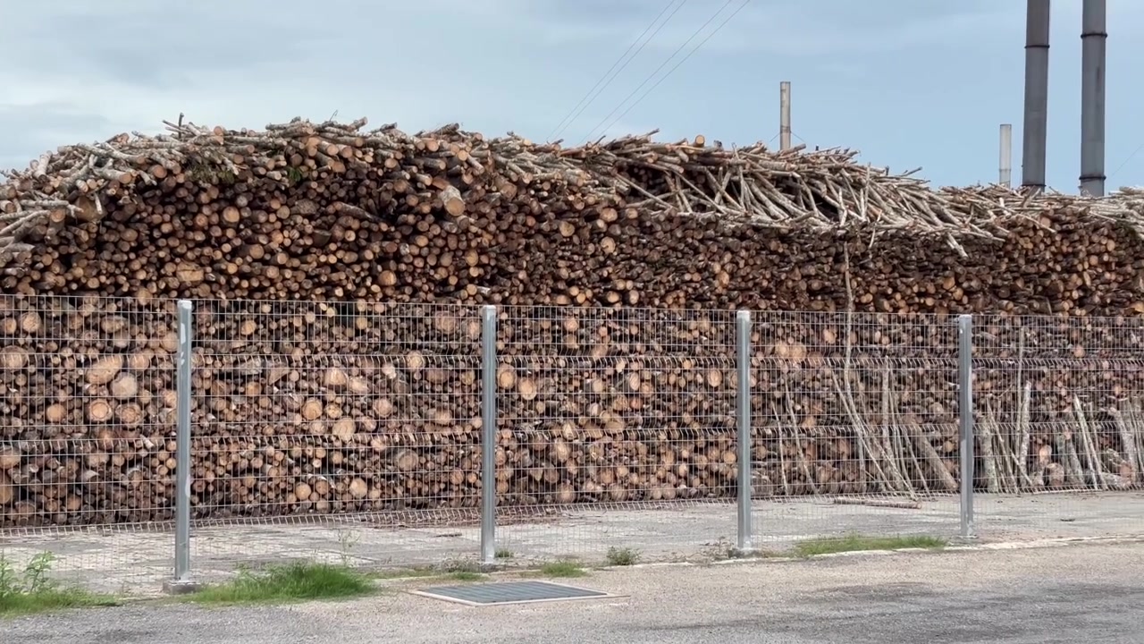 Panning shot of a massive stack of cut wood logs and tree trunks stored behind a fence at a timber processing facility with industrial smokestacks in Thailand.