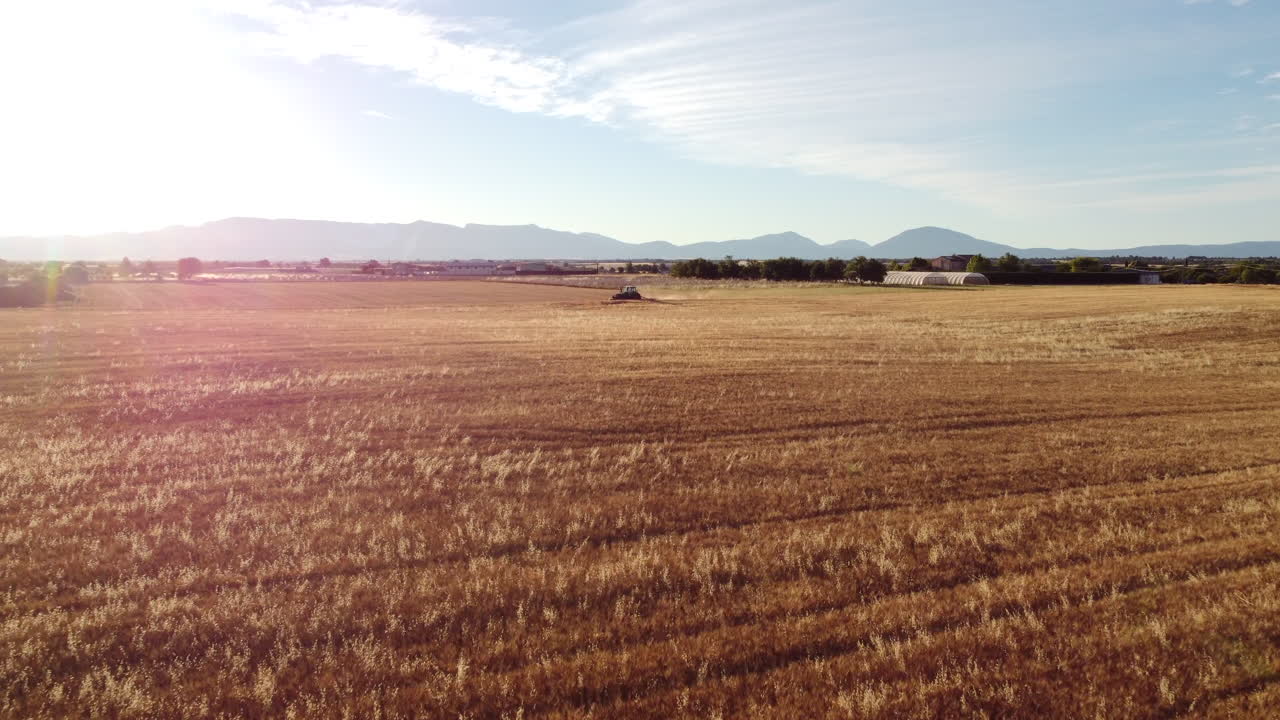 Contadino che miete un campo di grano con la mietitrebbia nell'agricoltura