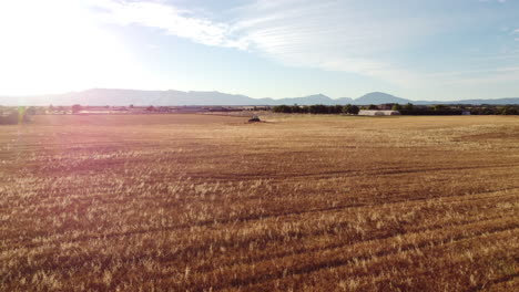 granjero cortando campo de trigo con cosechadora en cultivo agrícola