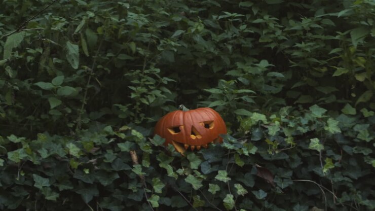Halloween pumpkin is blown up with dynamite
