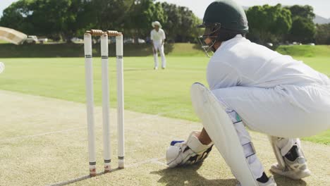 cricket player catching the ball and destroying the stamps