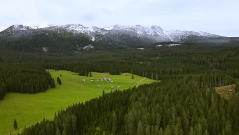 picturesque of green plateau surrounded by dense trees and snow capped mountains