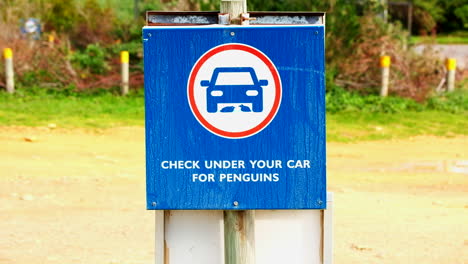 Warning-sign-at-nature-reserve-reminds-tourists-to-check-under-cars-for-penguins